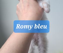 Collier bleu Romy
